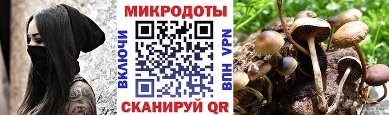 наркота Обоянь Псилоцибиновые грибы мухоморы